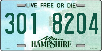 NH license plate 3018204