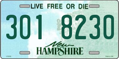NH license plate 3018230