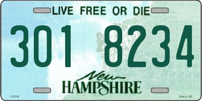 NH license plate 3018234