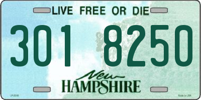 NH license plate 3018250