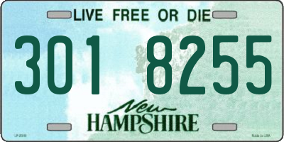NH license plate 3018255