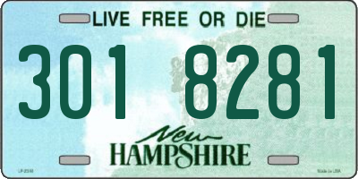 NH license plate 3018281