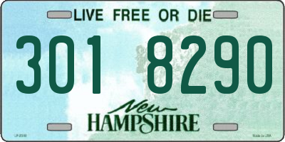 NH license plate 3018290
