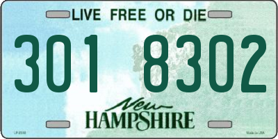 NH license plate 3018302