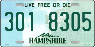 NH license plate 3018305