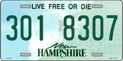 NH license plate 3018307