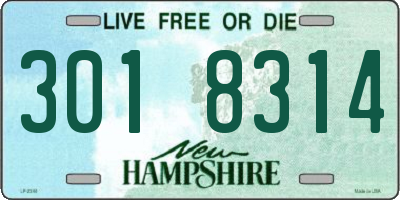 NH license plate 3018314