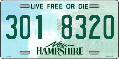 NH license plate 3018320