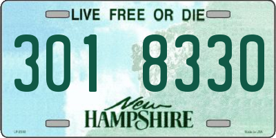 NH license plate 3018330
