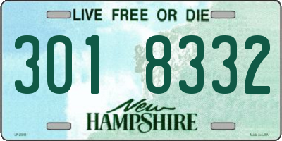 NH license plate 3018332