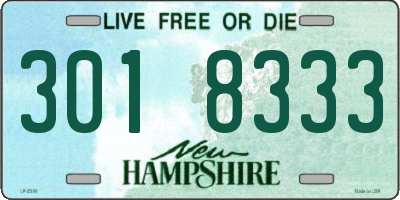 NH license plate 3018333