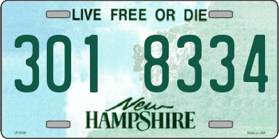 NH license plate 3018334