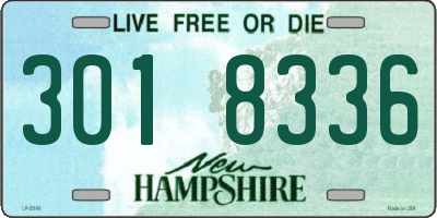 NH license plate 3018336