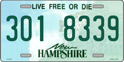 NH license plate 3018339