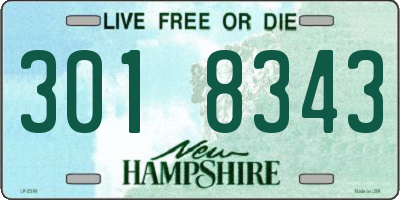NH license plate 3018343