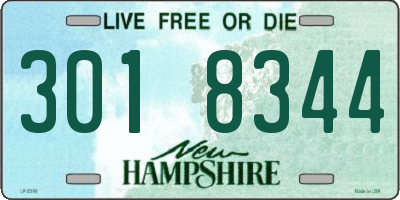 NH license plate 3018344