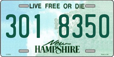 NH license plate 3018350