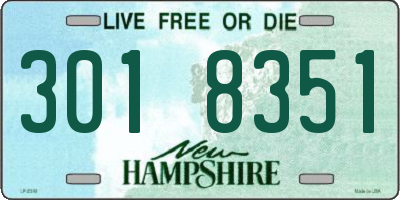 NH license plate 3018351
