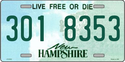 NH license plate 3018353