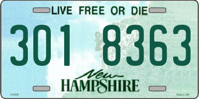 NH license plate 3018363