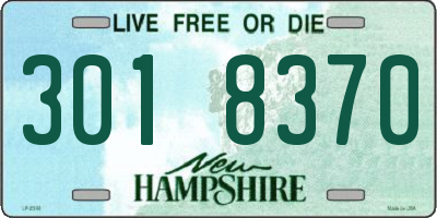 NH license plate 3018370