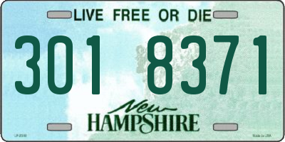NH license plate 3018371