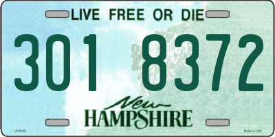 NH license plate 3018372