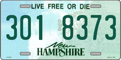NH license plate 3018373