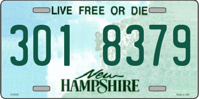 NH license plate 3018379