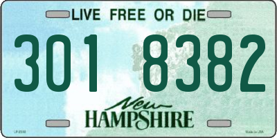NH license plate 3018382