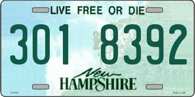 NH license plate 3018392