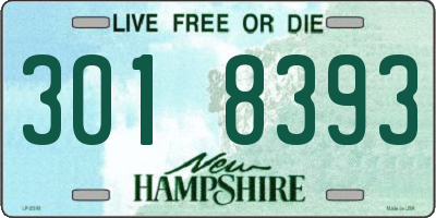 NH license plate 3018393
