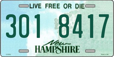 NH license plate 3018417