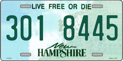 NH license plate 3018445