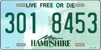 NH license plate 3018453