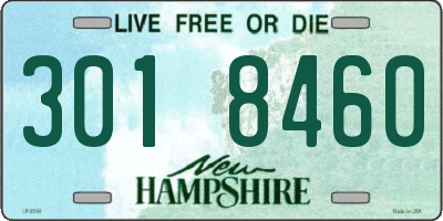 NH license plate 3018460