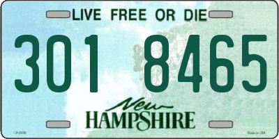 NH license plate 3018465
