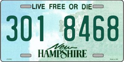 NH license plate 3018468