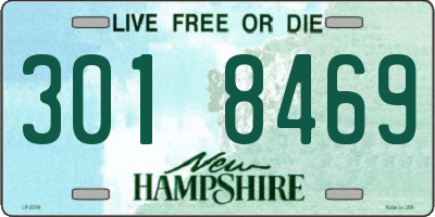 NH license plate 3018469