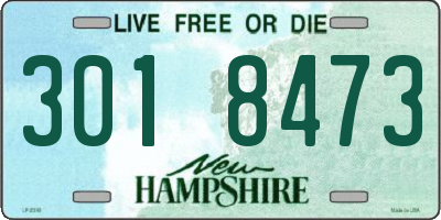 NH license plate 3018473