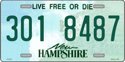 NH license plate 3018487