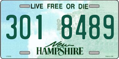 NH license plate 3018489