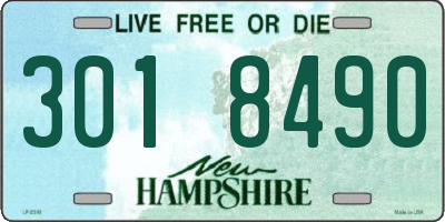 NH license plate 3018490