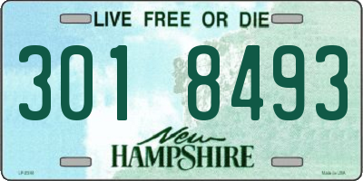 NH license plate 3018493