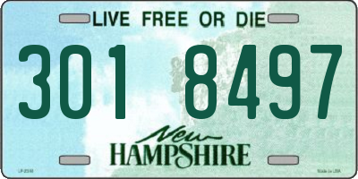 NH license plate 3018497