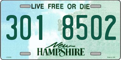 NH license plate 3018502