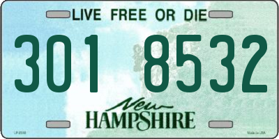 NH license plate 3018532