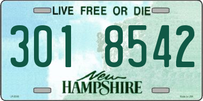 NH license plate 3018542