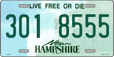 NH license plate 3018555