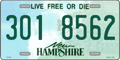 NH license plate 3018562